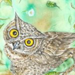 portada vídeo cuento el búho que recorre el mundo