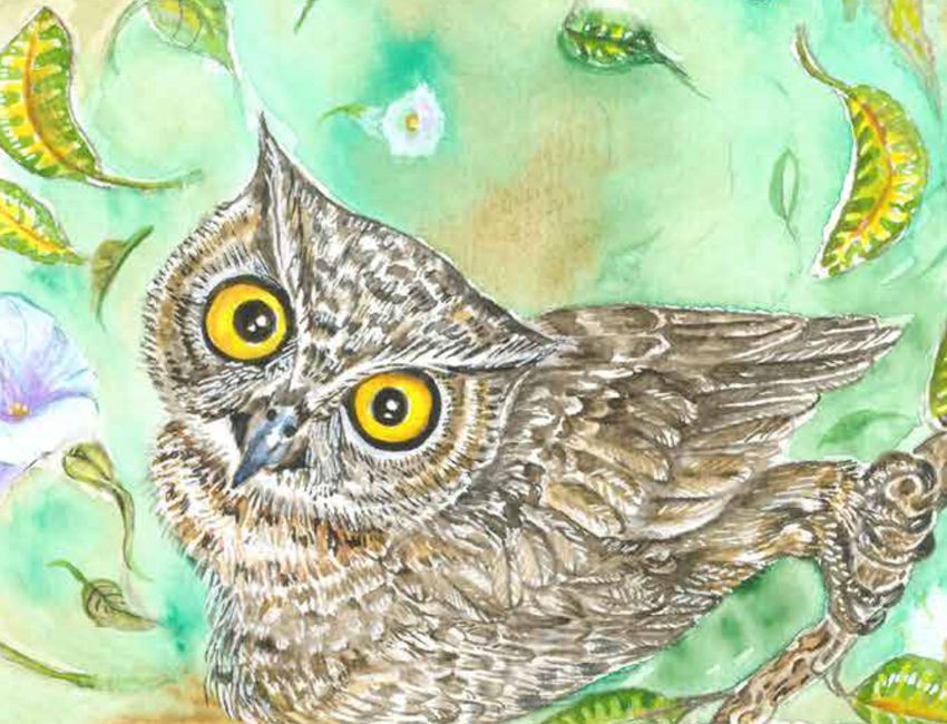 portada vídeo cuento el búho que recorre el mundo