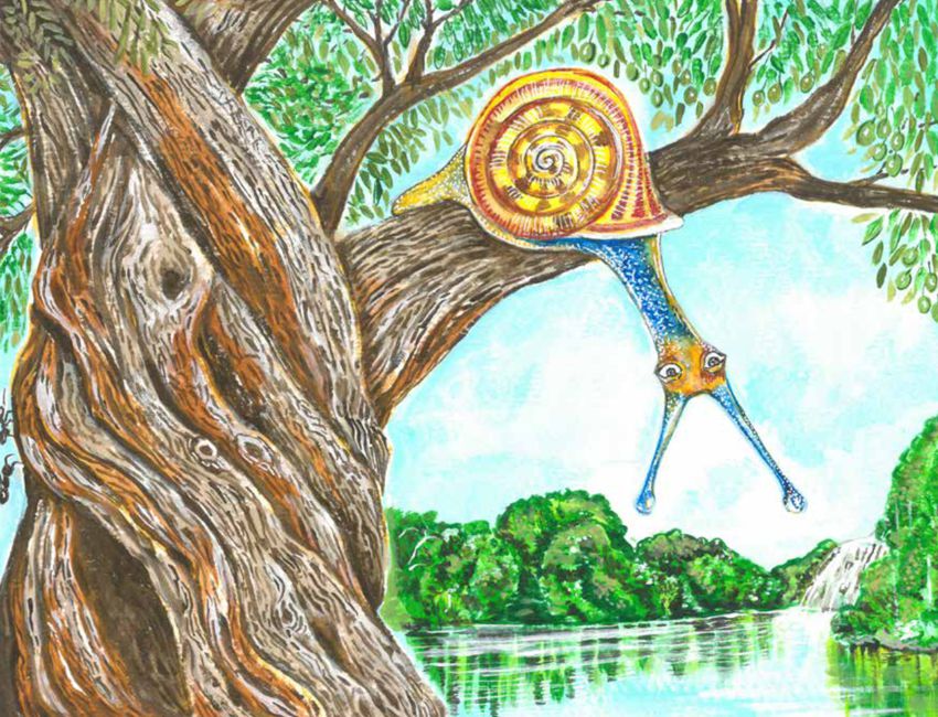 portada video cuento el viaje del caracol