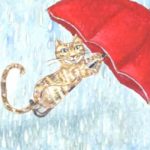 portada videocuento bajo la lluvia se divierten