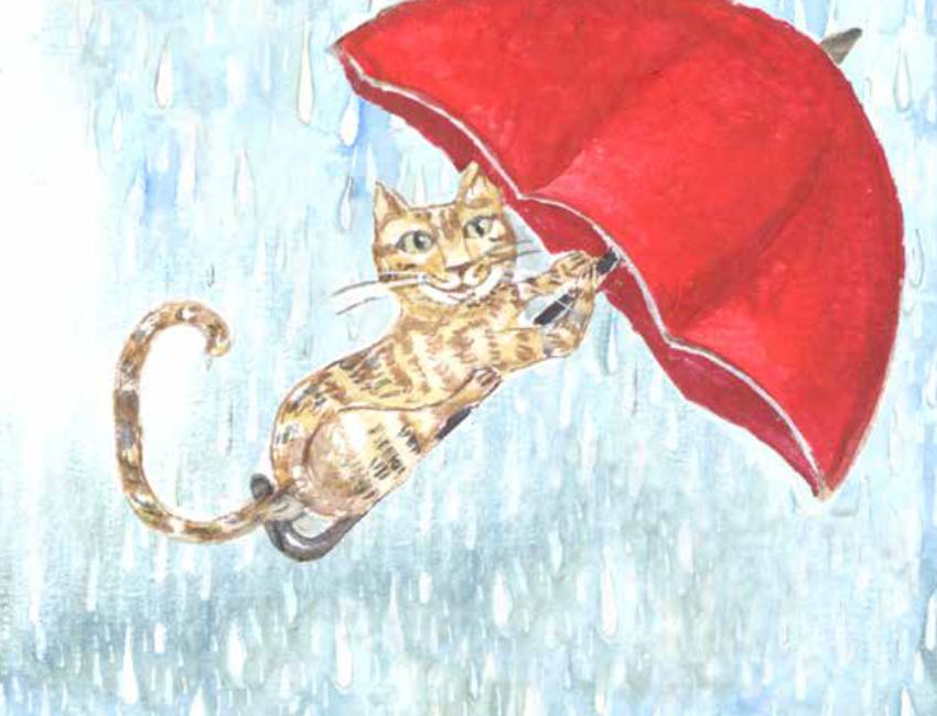 portada videocuento bajo la lluvia se divierten