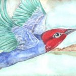 portada videocuento pajaro