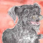 El perro que aprende a escribir