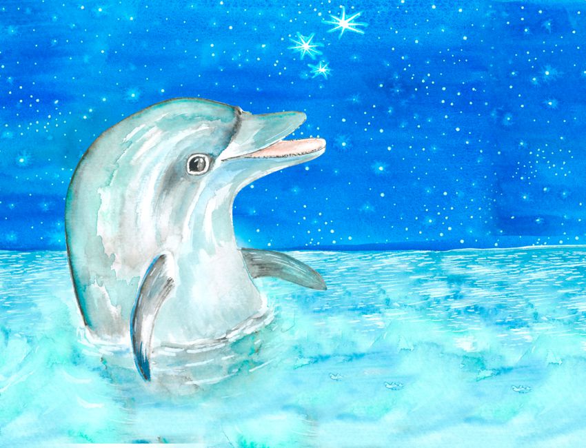 portada videocuento el barco y el delfín