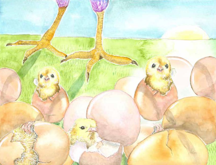 portada video cuento gallina. El regalo de la luna