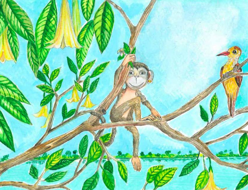 videocuento bilingüe Una sonrisa de mona